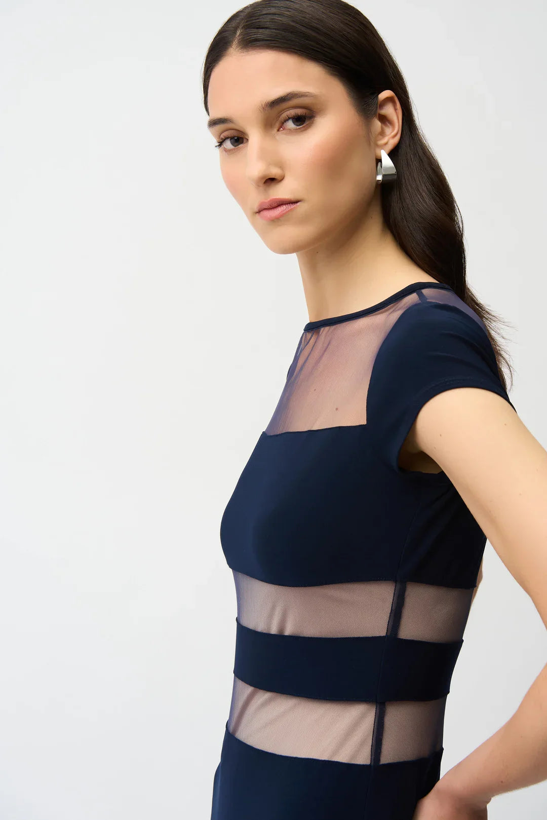 Joseph Ribkoff Fit and Flare Dress with Mesh Inserts