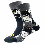Katmandu Women's Socks