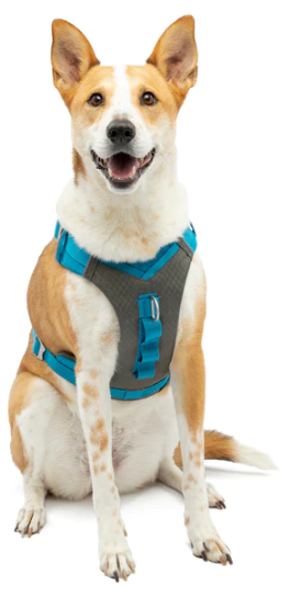 Kurgo Journey Air Harness Coastal Blue/Gargoyle Grey 80-110 lb by Pet Food Warehouse