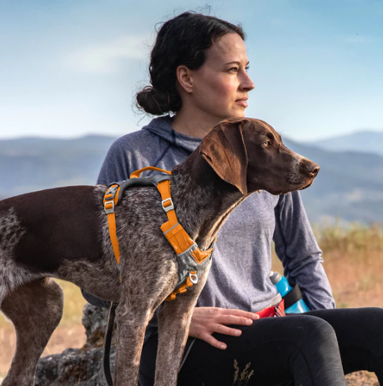 Kurgo Journey Air Harness Orange Small by Pet Food Warehouse