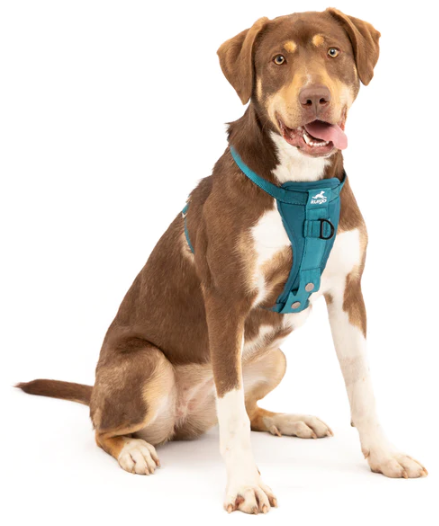Tru-Fit Smart Harness, Enhanced Strength Ink Small by Pet Food Warehouse