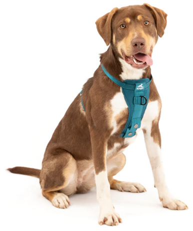 Tru-Fit Smart Harness, Enhanced Strength Ink X-Small