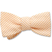 Orange Seersucker - bow ties