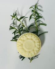 Shampoo & Conditioner