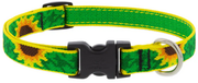 Lupine Collar 3/4in Sunflowers 15-25