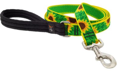 Lupine Leash 1in Sunflowers 6ft