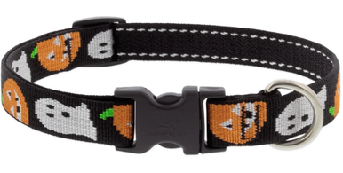 Lupine Adjustable Collar Ghost 3/4" 15-25