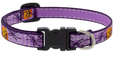 Lupine Adjustable Collar Trick or Treat 1/2" 8-12