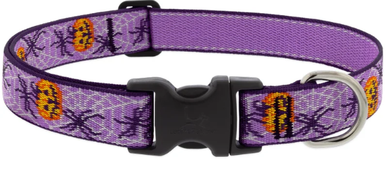 Lupine Adjustable Collar Trick or Treat 1" 16-28