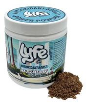 Lyfe Power Powder Antioxidant Boost 4.25oz