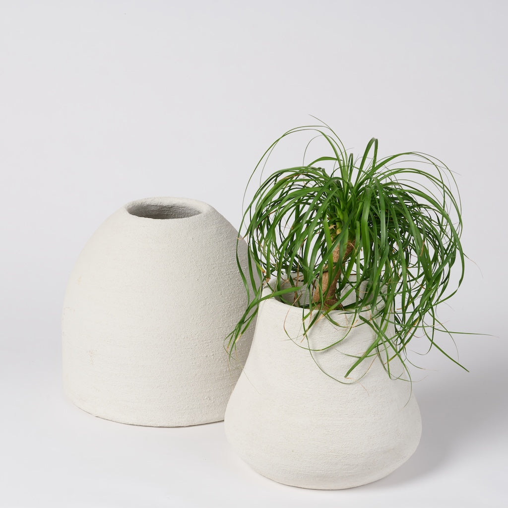 Yanou Planter - Belle Small
