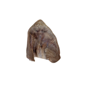 Momentum Carnivore Nutrition Pig Ear (Clean) Chew
