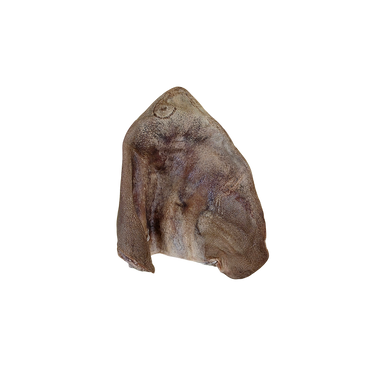Momentum Carnivore Nutrition Pig Ear (Clean) Chew