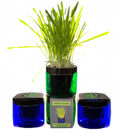 Moms Cat Grass Planter Jar Blue or Green