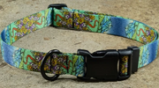 Mtn Straps Collar Crested Butte 12-18