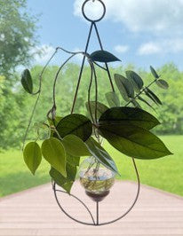 Minimalist Teardrop Hanging Vase