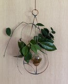 Minimalist Teardrop Hanging Vase