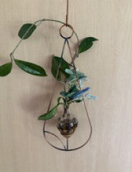 Minimalist Teardrop Hanging Vase