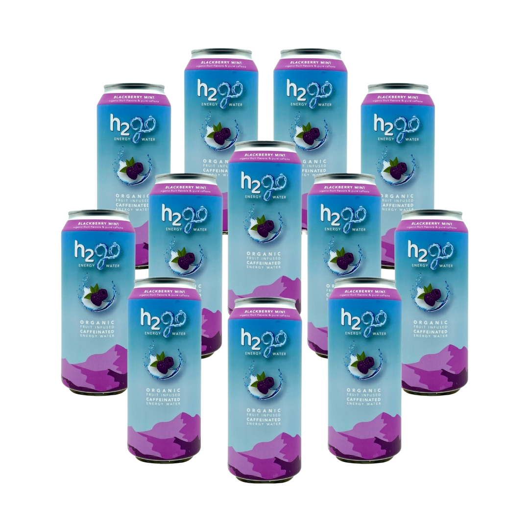 Blackberry Mint 12 Pack by h2go Energy Water