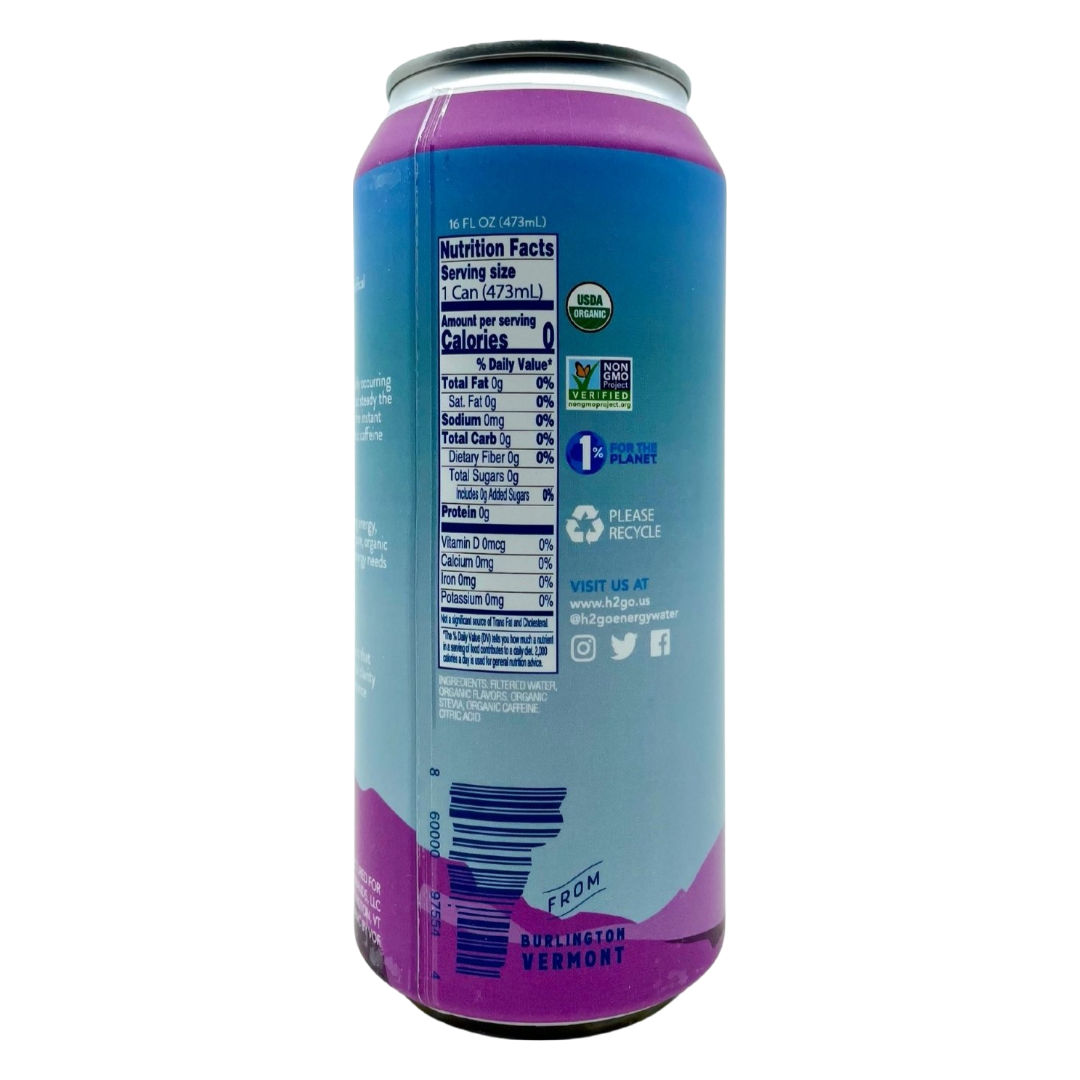Blackberry Mint 12 Pack by h2go Energy Water
