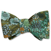 Penrhyn (Liberty of London) - bow ties