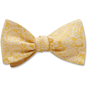 Pembroke Canary - bow ties
