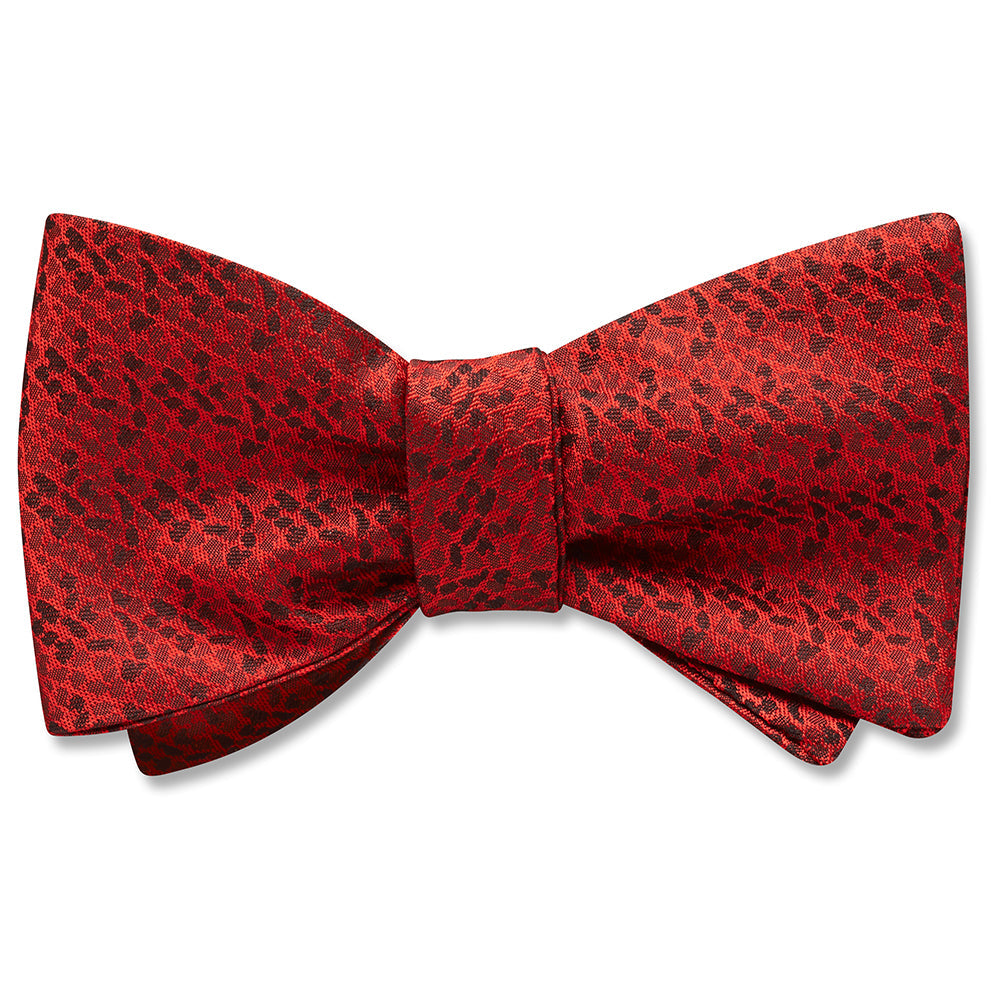 Panthara - bow ties