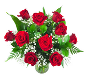 Valentine's Dozen Long-Stem Red Roses