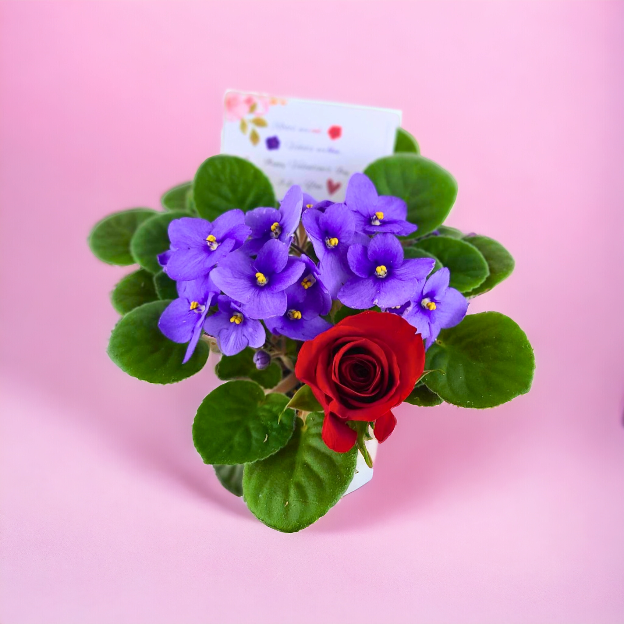 "Roses Are Red, Violets Are Blue" Valentine's Day Gift