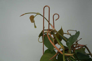Decorative Plant Stakes – Set of 4
