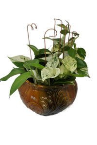 Decorative Plant Stakes – Set of 4