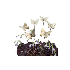 Brass Butterfly Plant Sticks – Handcrafted Decorative Set of 6
