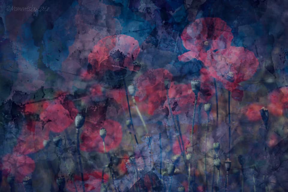 Greeting Cards -Moments By Kate by SidePony Boutique