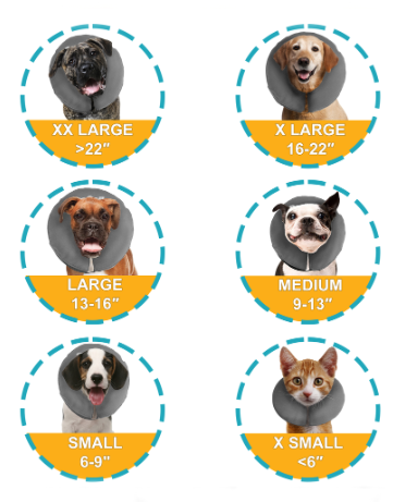 ZenPet The Original ProCollar Small