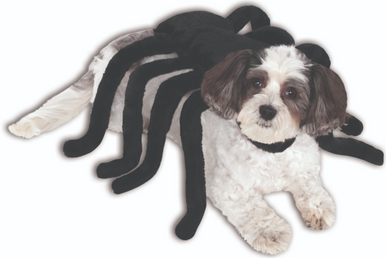 Ruby Slippers Spider Harness Pet Costume Small