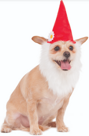 Ruby Slippers Garden Gnome Hat with Beard Pet Costume Medium Large