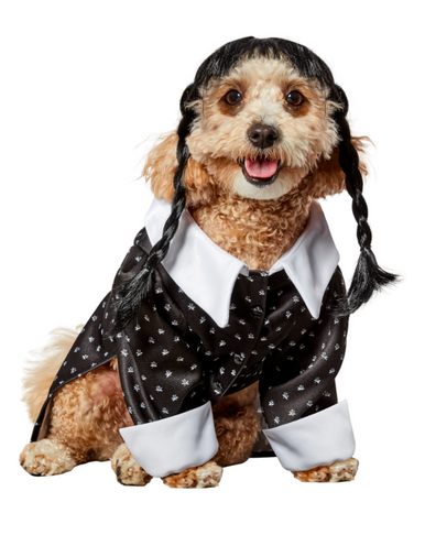 Ruby Slippers Wednesday Addams Pet Costume Medium