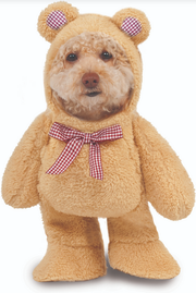 Ruby Slippers Walking Teddy Bear Pet Costume Medium