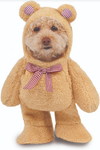 Ruby Slippers Walking Teddy Bear Pet Costume Medium