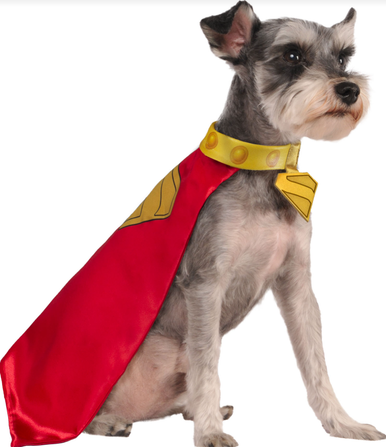 Ruby Slippers Krypto Pet Costume Medium