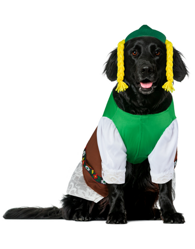 Ruby Slippers Oktoberfest Sweety Pet Costume Extra Large