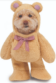 Ruby Slippers Walking Teddy Bear Pet Costume Extra Small