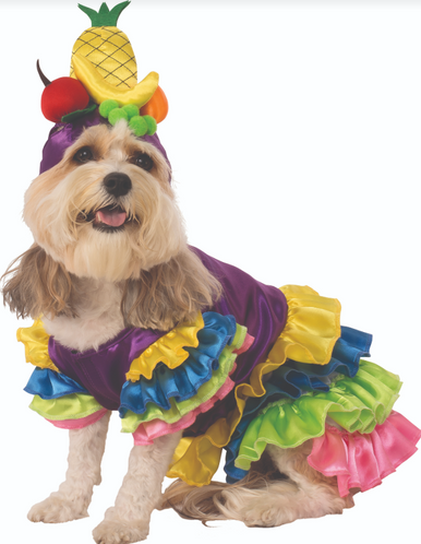 Ruby Slippers Brazilian Bombshell Pet Costume Extra Large