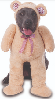 Ruby Slippers Big Dogs Walking Teddy Bear Pet Costume Extra Extra Large