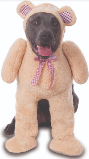 Ruby Slippers Big Dogs Walking Teddy Bear Pet Costume Extra Extra Large