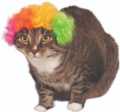 Ruby Slippers Afro Wig Pet Costume Small Medium