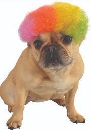 Ruby Slippers Afro Wig Pet Costume Medium Large