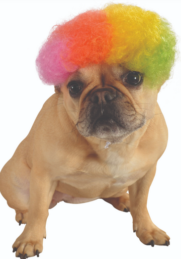 Ruby Slippers Afro Wig Pet Costume Medium Large