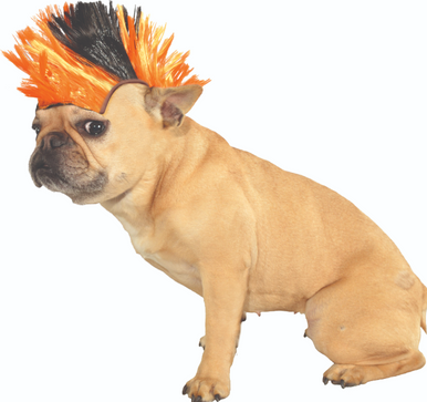 Ruby Slippers Black & Orange Mohawk Pet Wig Pet Costume Medium Large