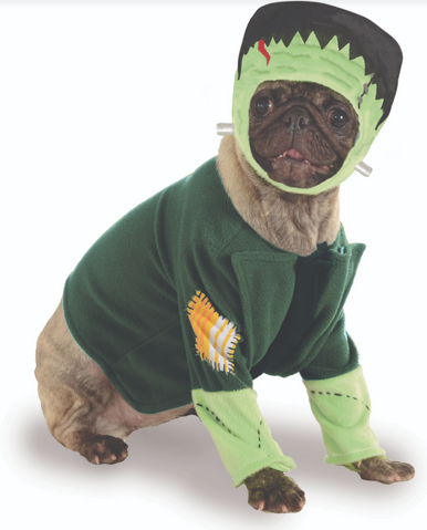 Ruby Slippers Frankenstein Pet Costume Medium